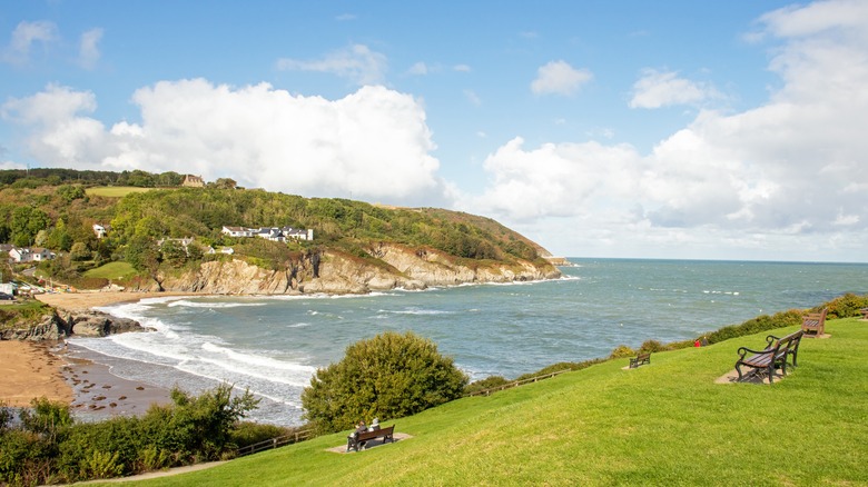 Aberporth, Gales: Guía Completa para Descubrir Esta Joya Costera con Delfines