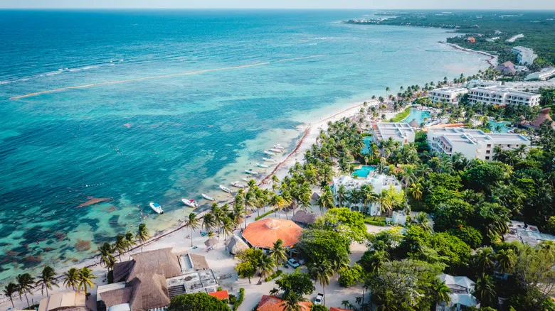 Akumal: Guía Esencial para un Nado Ético con Tortugas Marinas en la Riviera Maya