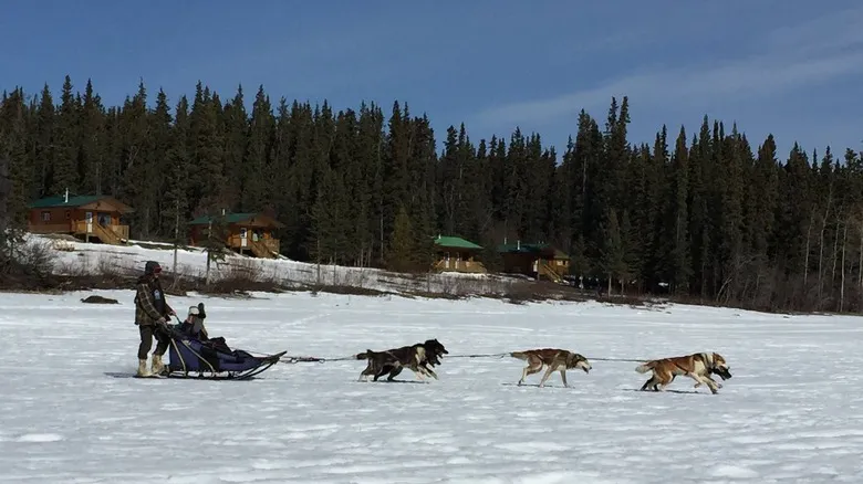 Aurora Boreal en Yukón: Guía Definitiva para Ver las Luces del Norte en Southern Lakes Resort