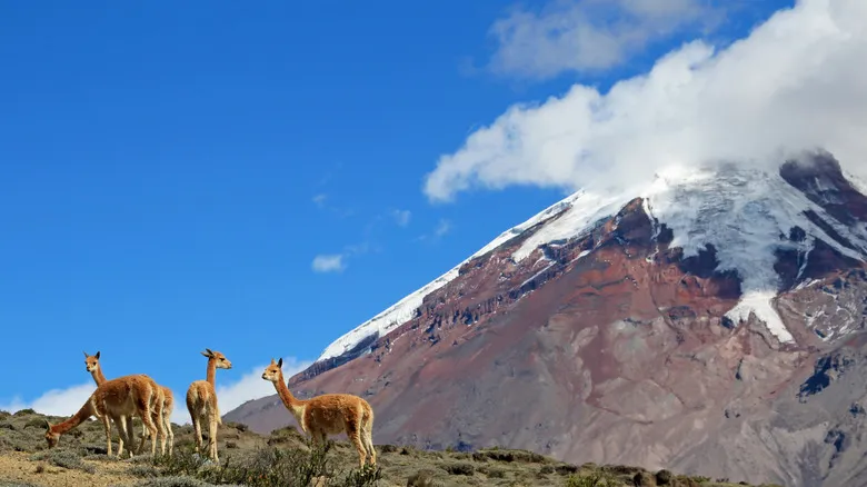 Avenida de los Volcanes en Ecuador: Una Aventura Inolvidable en los Andes