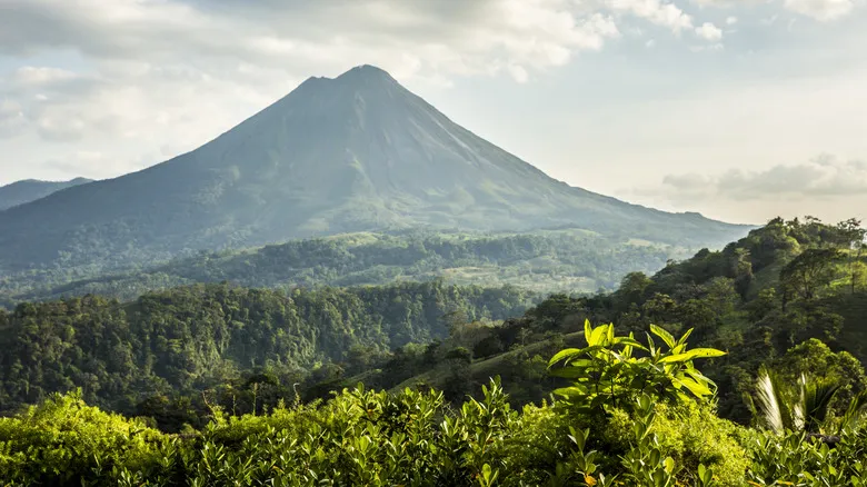 Avistamiento de Perezosos en Costa Rica: Experiencia Inolvidable en el Sendero Bogarín, La Fortuna