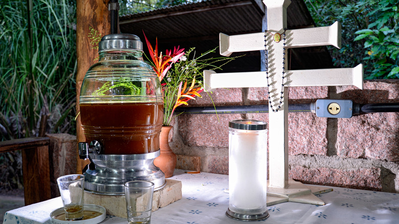 Ayahuasca: Guía Esencial para una Experiencia Segura y Genuina