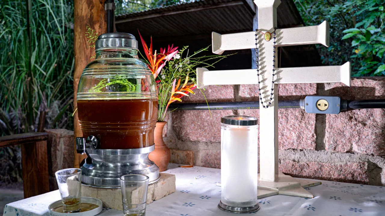 Ayahuasca: Guía Esencial para una Experiencia Segura y Genuina