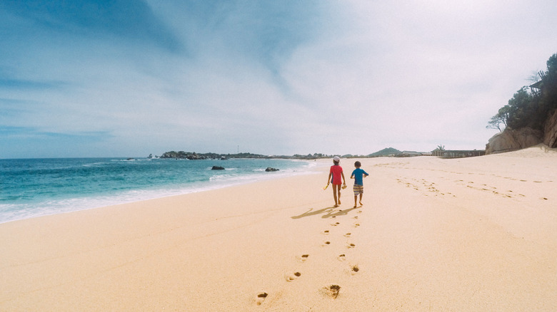 Bahía San Agustín: El Último Paraíso Escondido en la Costa de Oaxaca