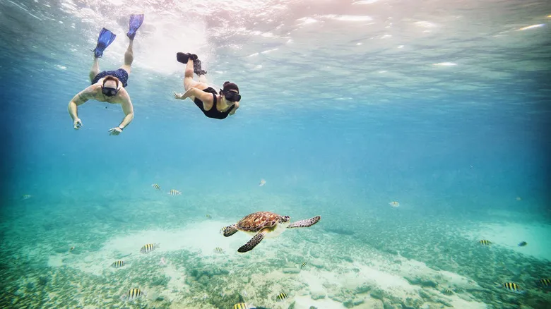 Bahía San Agustín: El Último Paraíso Escondido en la Costa de Oaxaca