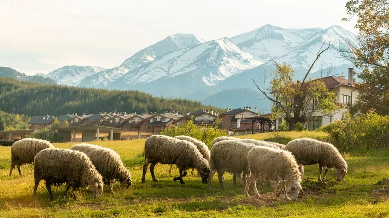 Bansko, Bulgaria: Un Paraíso No Solo Invernal – Su Guía Definitiva para Descubrirlo Todo el Año
