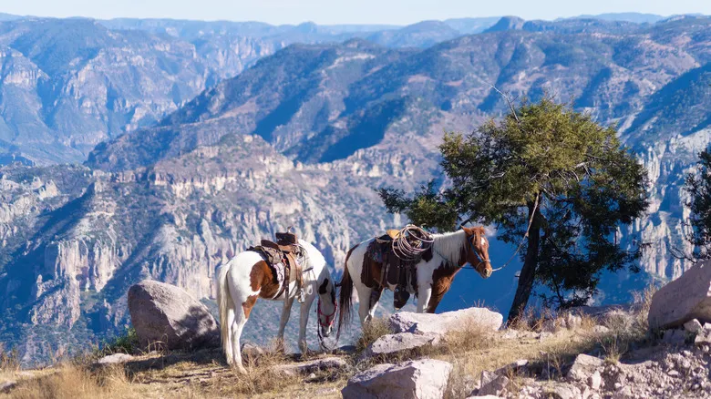 Barrancas del Cobre: Descubre la Majestuosidad Natural de México en Chihuahua