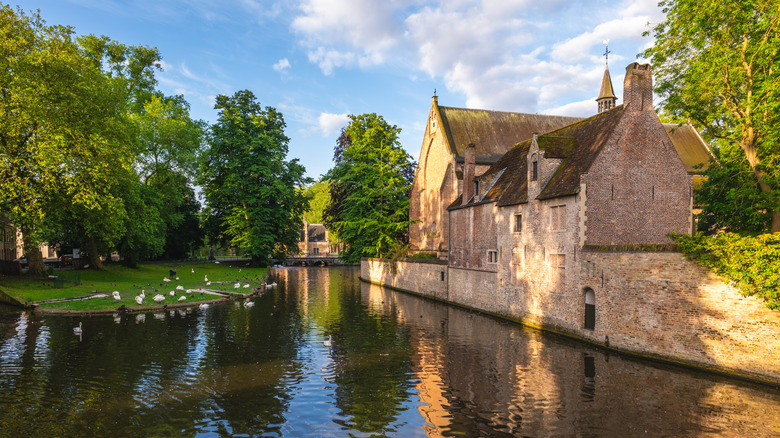 Begijnhof de Brujas: Un Oasis de Paz e Historia Medieval en Bélgica