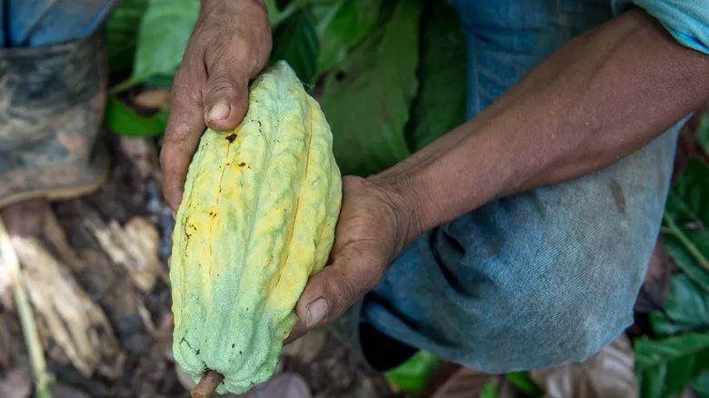 Belice Profundo: Explorando la Auténtica Cultura Maya Mopan y su Herencia Milenaria