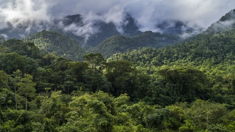 Belice Profundo: Explorando la Auténtica Cultura Maya Mopan y su Herencia Milenaria