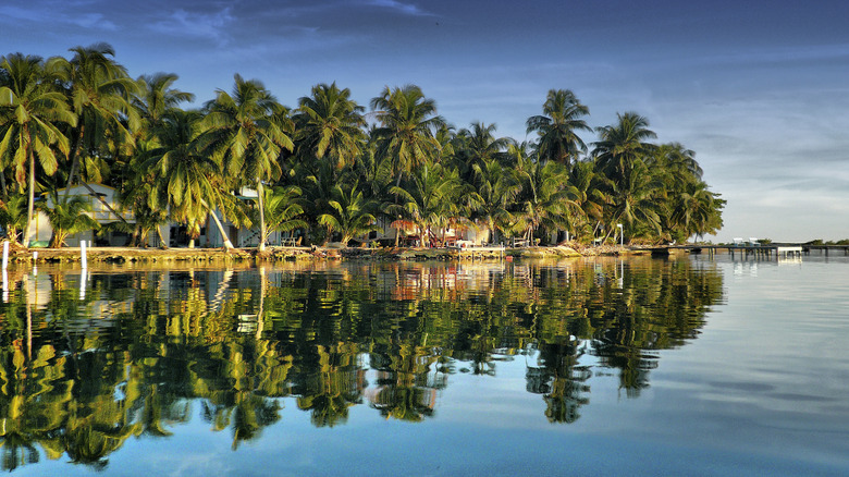 Belice: Un Destino Inolvidable para Explorar Cultura y Naturaleza en el Corazón del Caribe