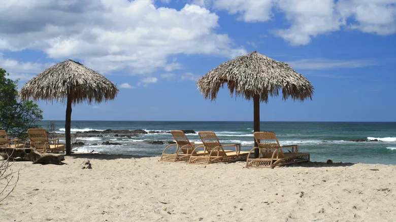 Black Stallion Eco Park: Aventuras Inolvidables en Guanacaste, Costa Rica