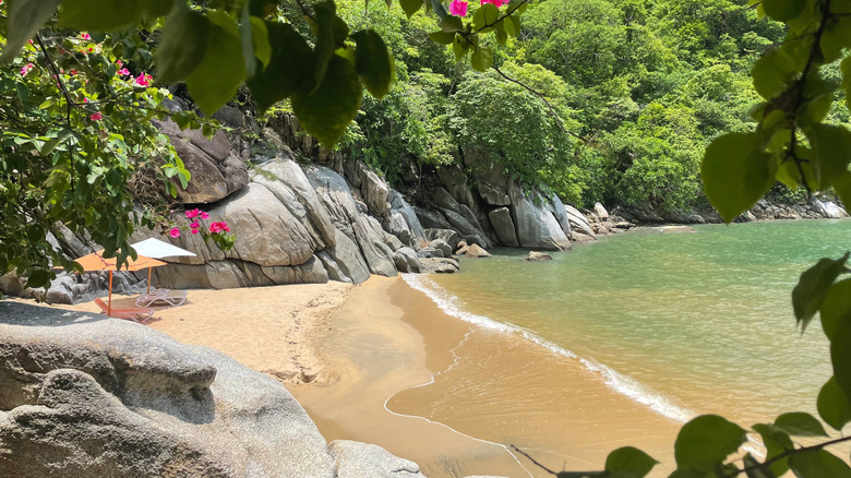 Boca de Tomatlán: Descubre Playas Escondidas y Aventura Natural Cerca de Puerto Vallarta
