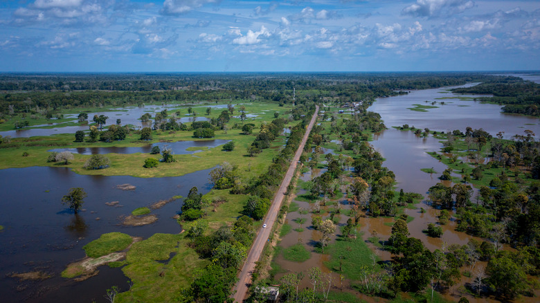 BR-319: La Carretera de los Fantasmas del Amazonas - Guía de Aventura Épica