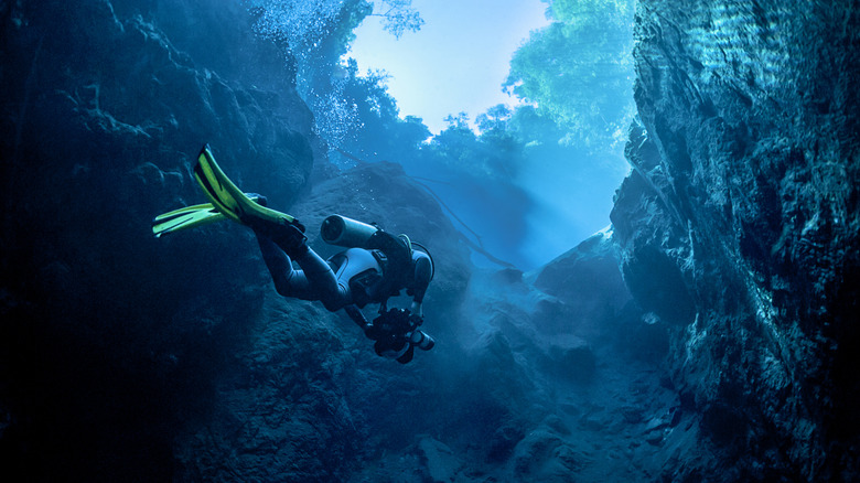 Buceo en Cenotes de México: Una Guía Completa para Explorar el Inframundo Maya