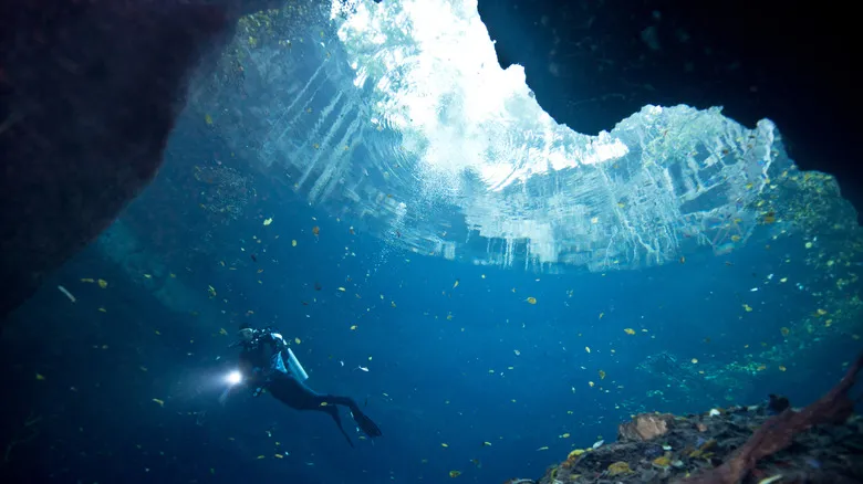 Buceo en Cenotes de México: Una Guía Completa para Explorar el Inframundo Maya