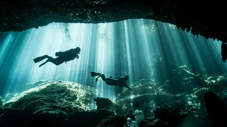 Buceo en Cenotes de México: Una Guía Completa para Explorar el Inframundo Maya