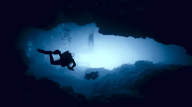 Buceo en Cenotes de México: Una Guía Completa para Explorar el Inframundo Maya