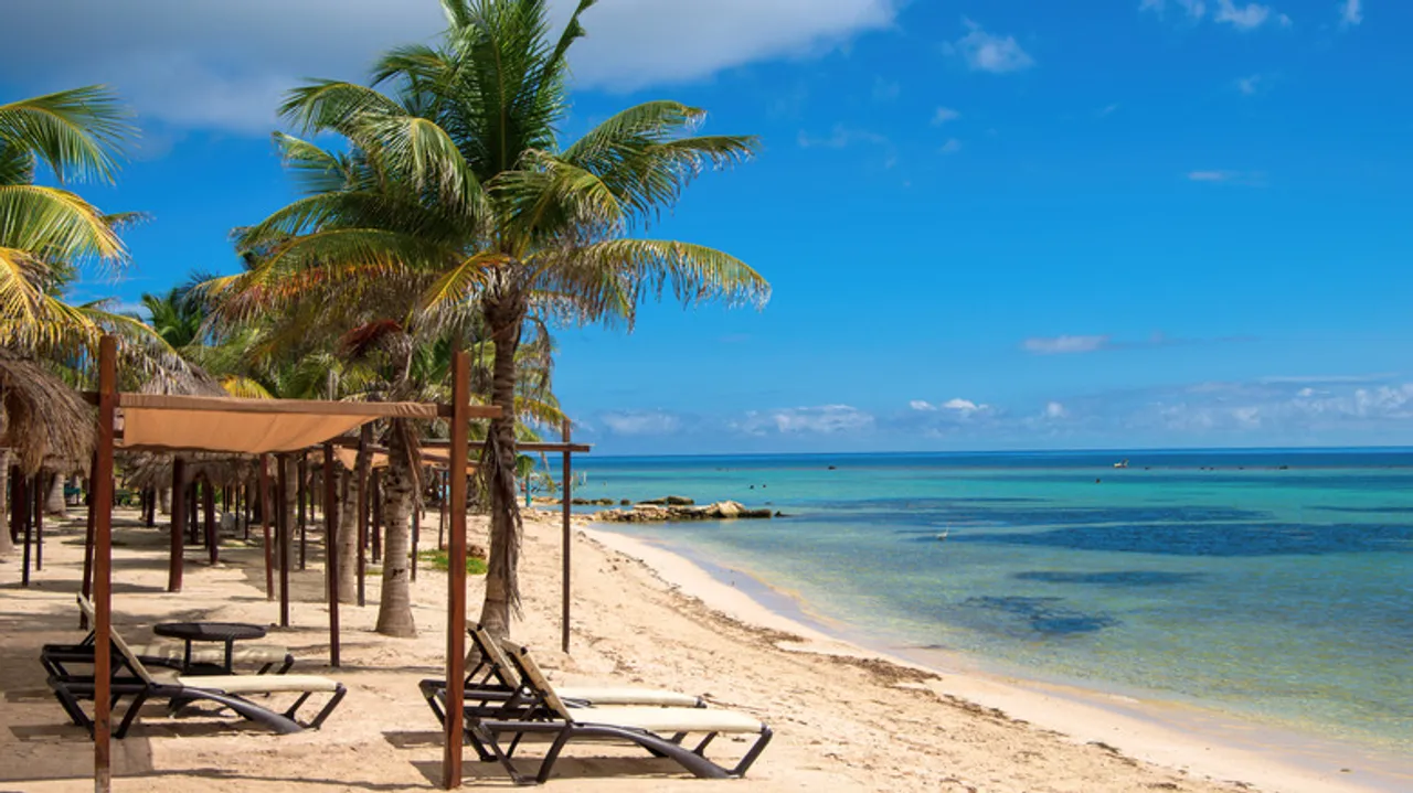 Buceo Inolvidable en México: Mahahual y el Atolón de Banco Chinchorro, un Paraíso Oculto