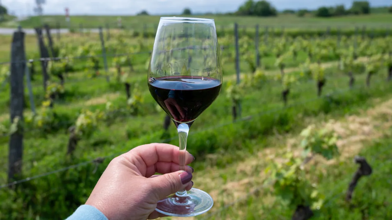 Cahors, Francia: La Joya Escondida del Malbec y la Historia Medieval en el Valle del Lot