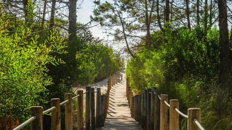 Caminha, Portugal: El Refugio Ideal para una Vida Tranquila y Auténtica en el Norte