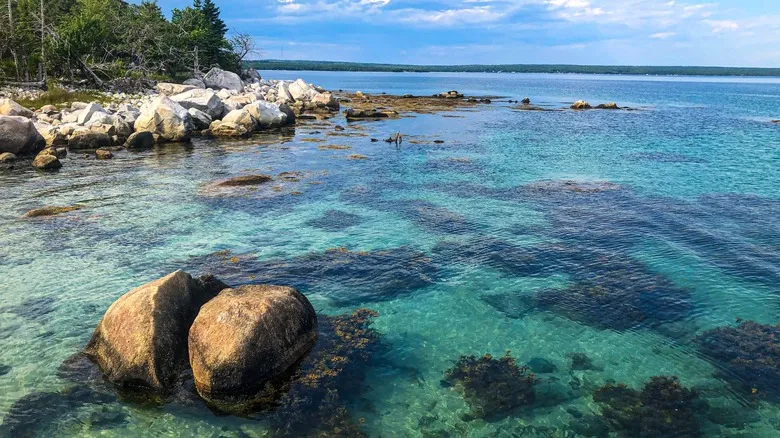 Canadá Costero: Explora sus Impresionantes Playas Paradisíacas y Belleza Natural Inesperada