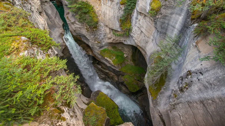Cañón Maligne en Jasper: Un Oasis de Majestuosidad Natural en las Montañas Rocosas Canadienses