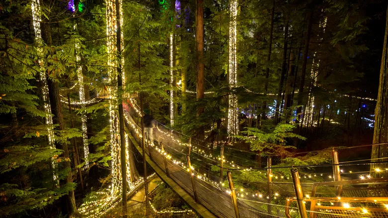Canyon Lights en el Parque Puente Colgante de Capilano: Una Experiencia Navideña Inolvidable en Vancouver