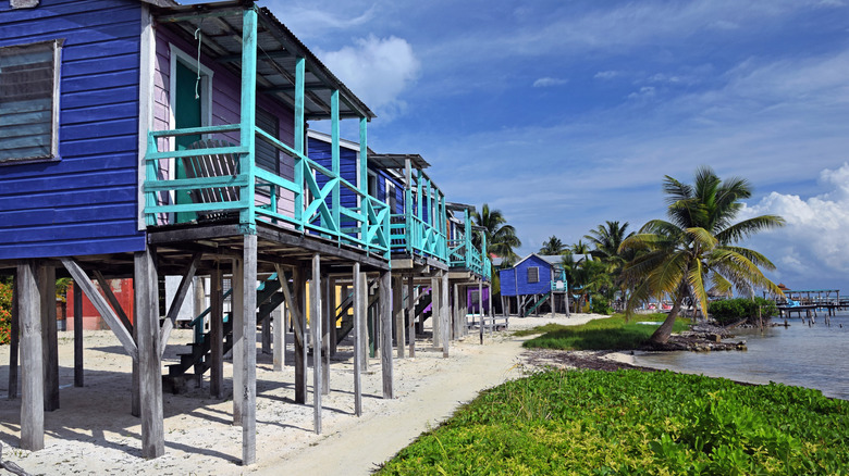 Caye Caulker: La Joya Escondida de Belice para Viajeros Conscientes