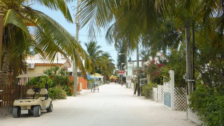 Caye Caulker: La Joya Escondida de Belice para Viajeros Conscientes