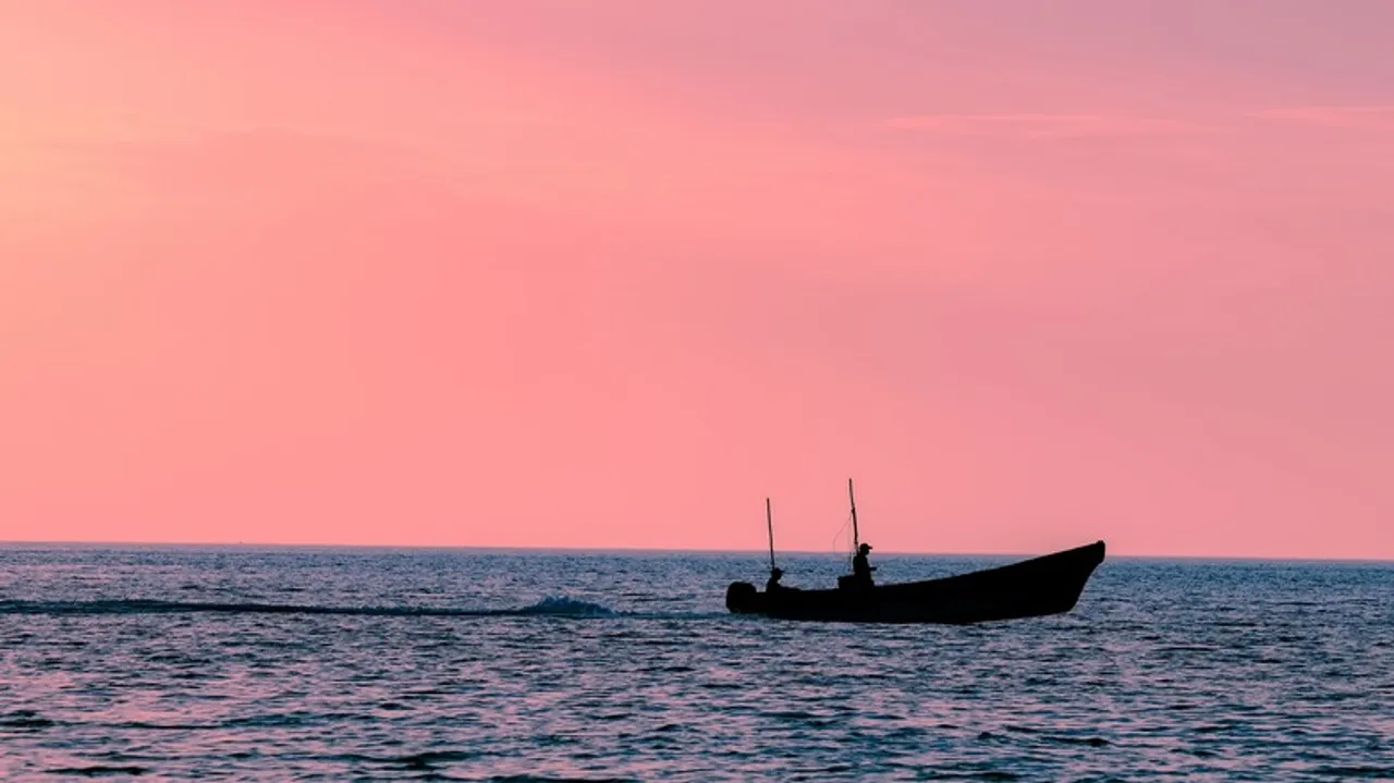 Celestún, Yucatán: El Paraíso Secreto de los Flamencos Rosados en México