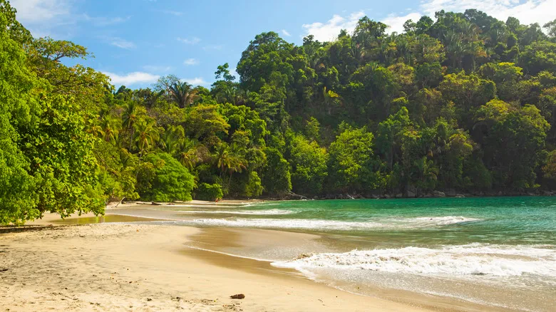 Centroamérica Segura: Descubre la Belleza y Tranquilidad de Costa Rica, Belice y Panamá