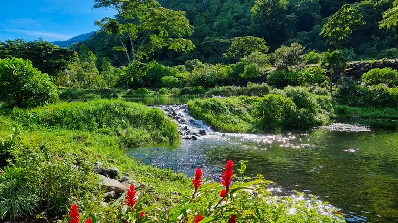 Chiriquí, Panamá: Exploración Definitiva de Naturaleza y Aventura