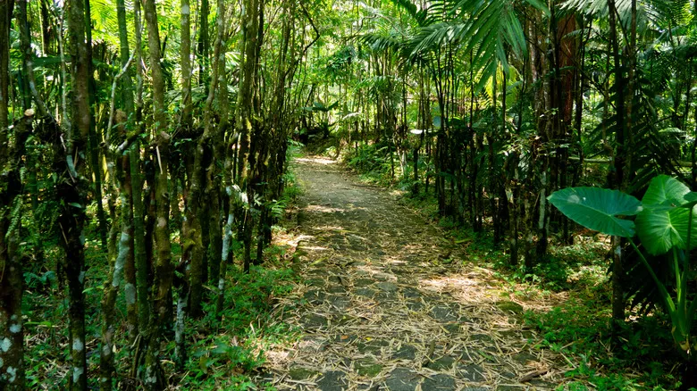 Cobán, Guatemala: Joya Escondida para Aventura y Cultura en el Corazón de la Alta Verapaz