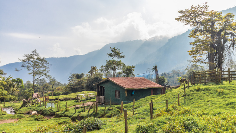 Costa Rica: El Santuario 'Pura Vida' Donde Rick Steves Descubrió la Desconexión y la Naturaleza