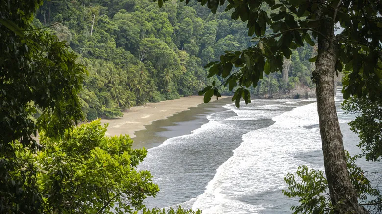 Costa Rica: El Santuario &#x27;Pura Vida&#x27; Donde Rick Steves Descubrió la Desconexión y la Naturaleza