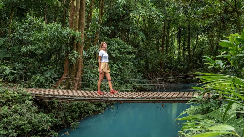 Cruceros por Centroamérica: Navega el Canal de Panamá y Explora la Biodiversidad de Costa Rica