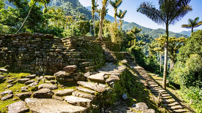 Descubre Ciudad Perdida: La Joya Ancestral de Colombia en la Sierra Nevada