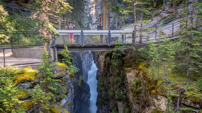 Descubre el Lago Maligne y el Parque Nacional Jasper: Un Tesoro Natural en las Rocosas Canadienses