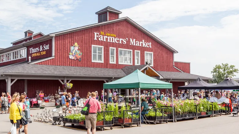 Descubre el Mercado de Granjeros St. Jacobs: Un Tesoro Cultural y Culinario en Ontario, Canadá