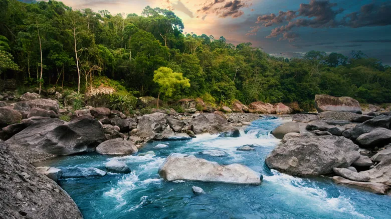 Descubre El Progreso, Honduras: Un Destino Asequible y Lleno de Encanto