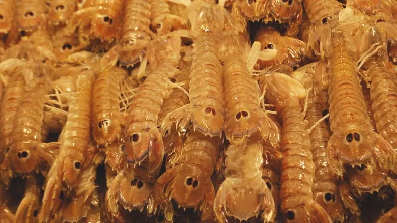 Descubre la Gastronomía Secreta de Venecia: Delicias de la Laguna para el Viajero Auténtico