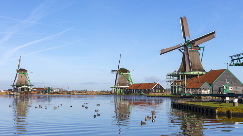 Descubre la Historia Viva de Países Bajos: Museos al Aire Libre Imprescindibles Según Rick Steves