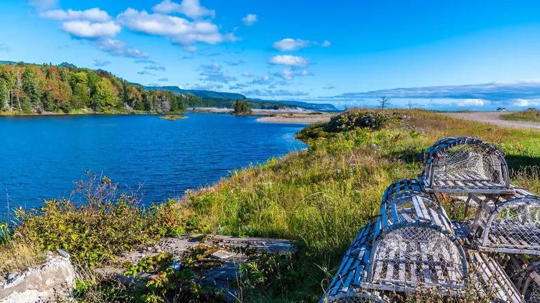 Descubre la Isla de Cape Breton: Arte, Paisajes y Cultura Viva en la Mítica Ruta Cabot
