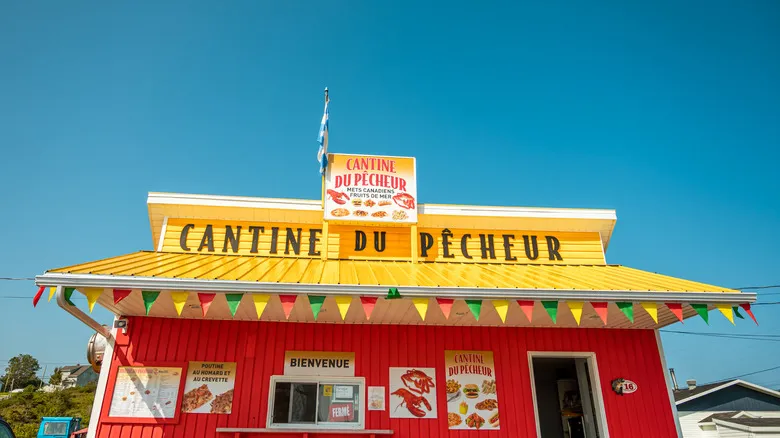 Descubre la Península de Gaspé: Naturaleza Salvaje, Gastronomía y Aventura en Quebec