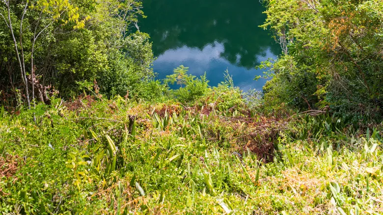 Descubre la República Dominicana: Vacaciones Inolvidables de Sol, Naturaleza y Relax Total