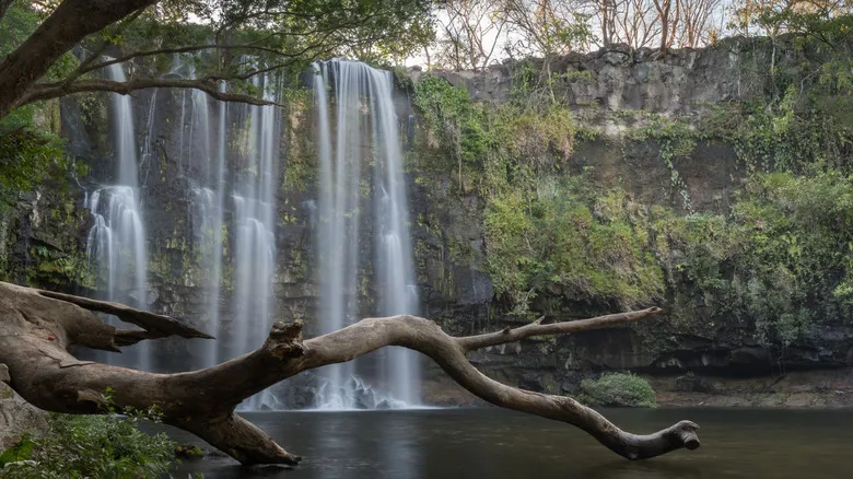 Descubre Llanos de Cortés: La Impresionante Catarata Paradisíaca de Costa Rica