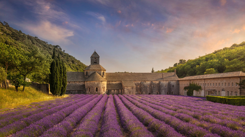 Descubre Luberon: La Joya Escondida de la Provenza Francesa para Viajeros Exigentes