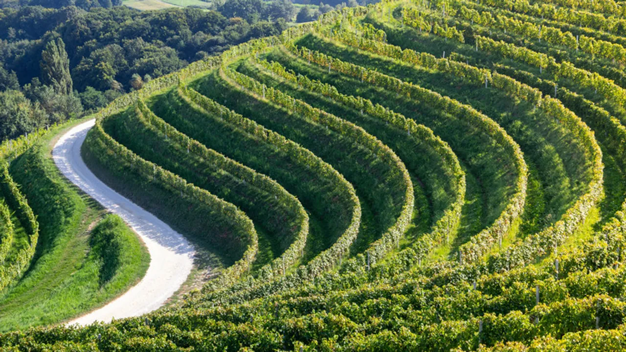 Descubre Međimurje: El Jardín Escondido de Croacia y sus Tesoros Naturales