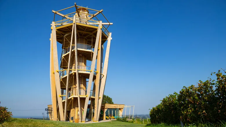 Descubre Međimurje: El Jardín Escondido de Croacia y sus Tesoros Naturales